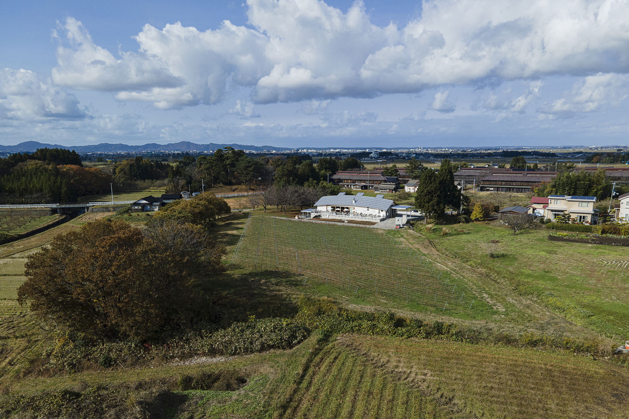 エルサンワイナリー松ケ岡