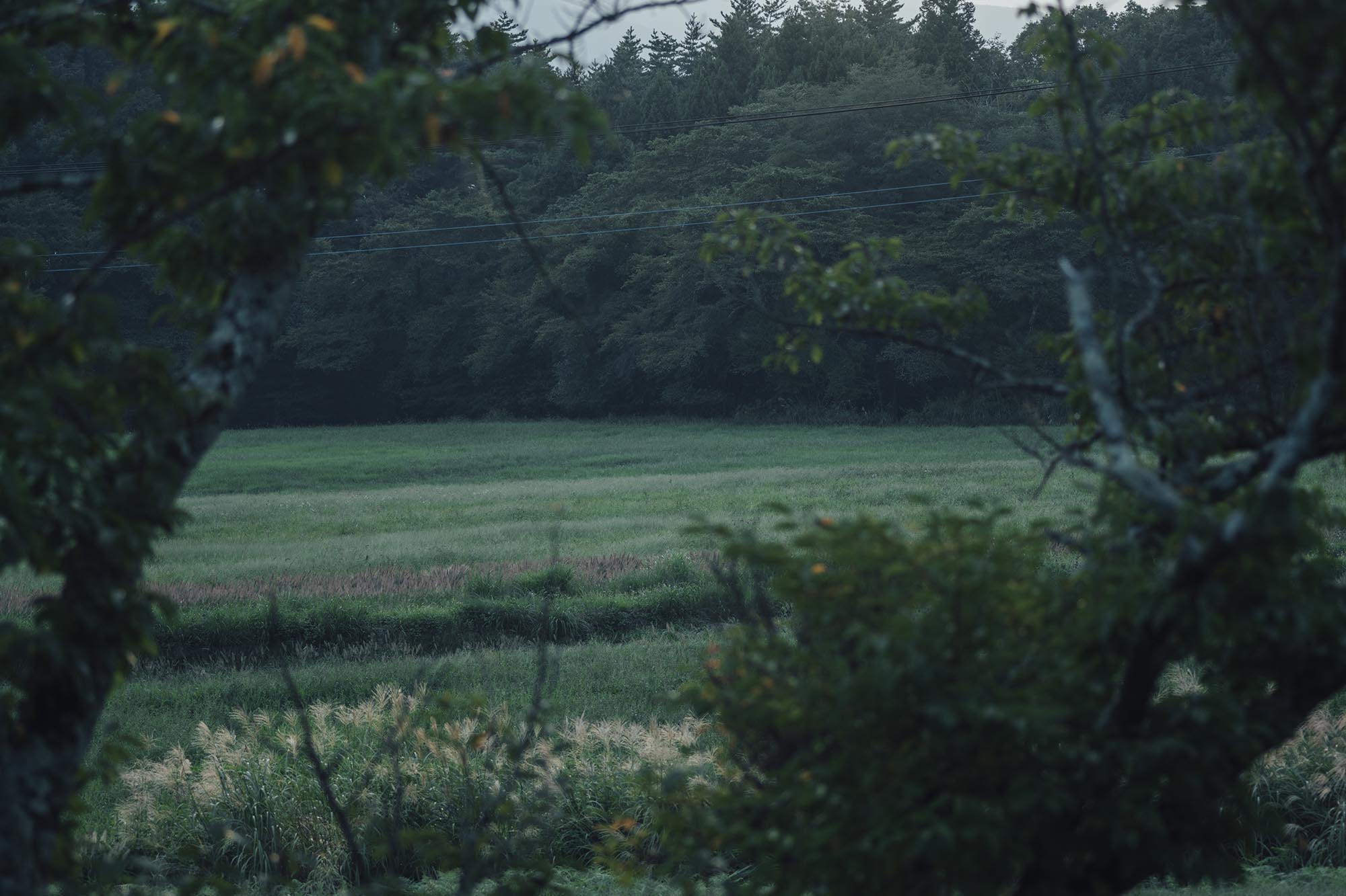 小淵沢の家