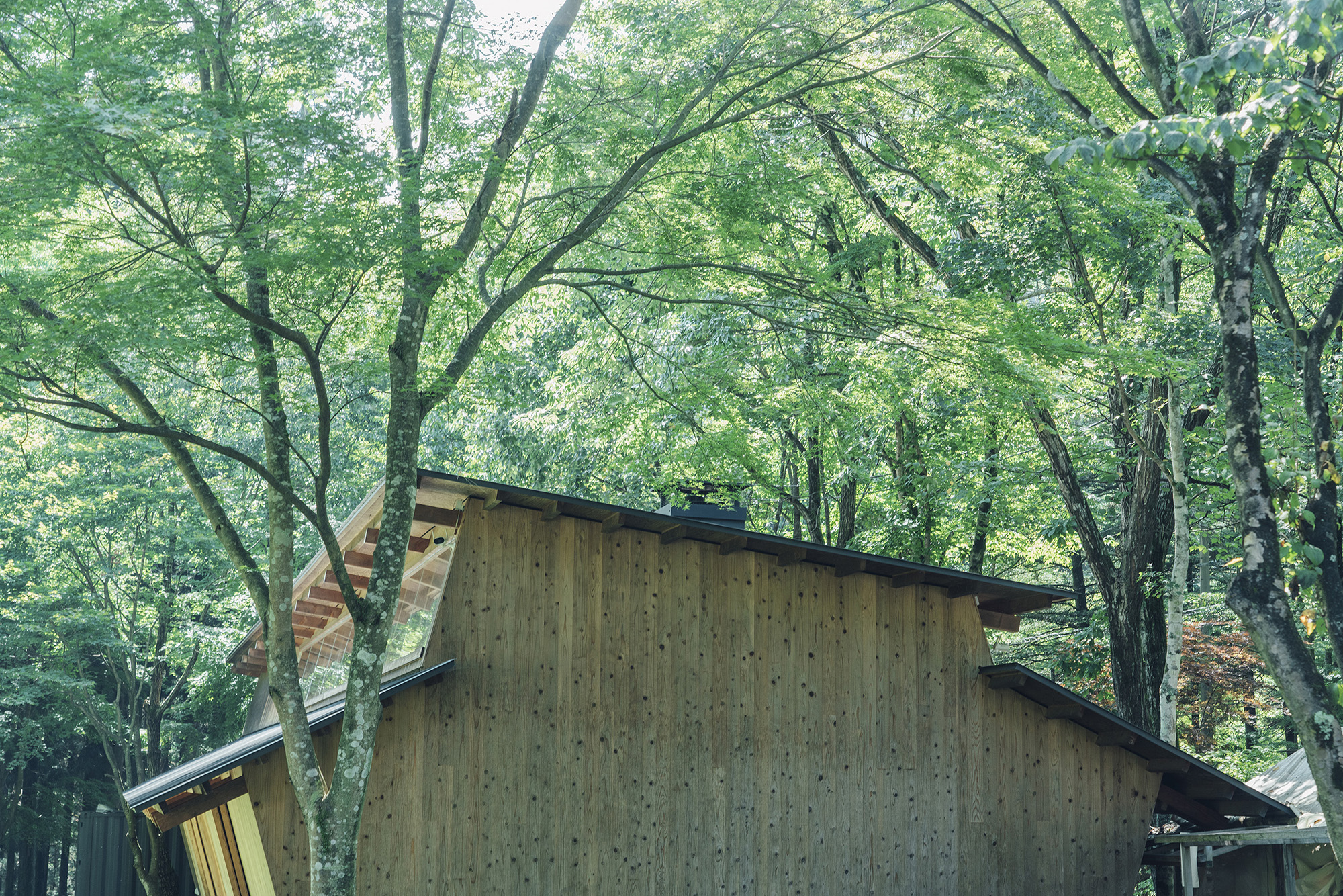 Three Roofs Timber Hall